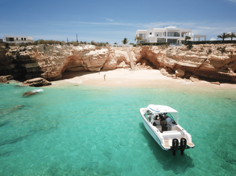 Boston Whaler 27 ft