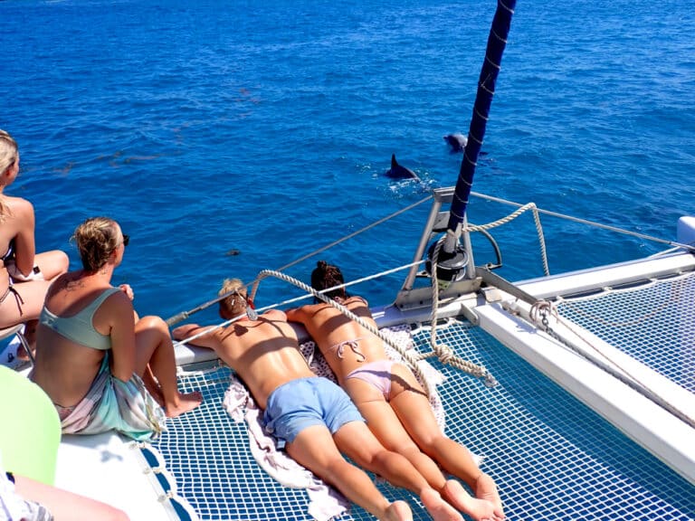Lagoon 38 ft