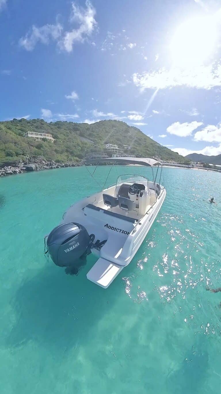 Pacific Craft 21 ft Sea View