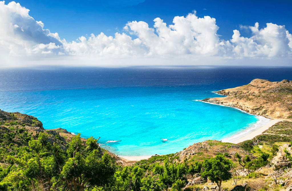 Sallines in Saint Barth view